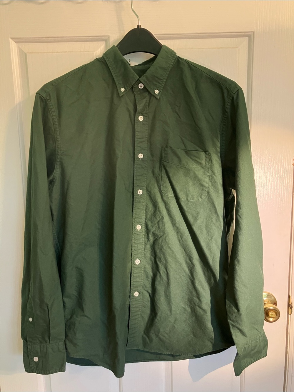 Men's Button-Down Cotton Oxford Shirt - Forest Green
